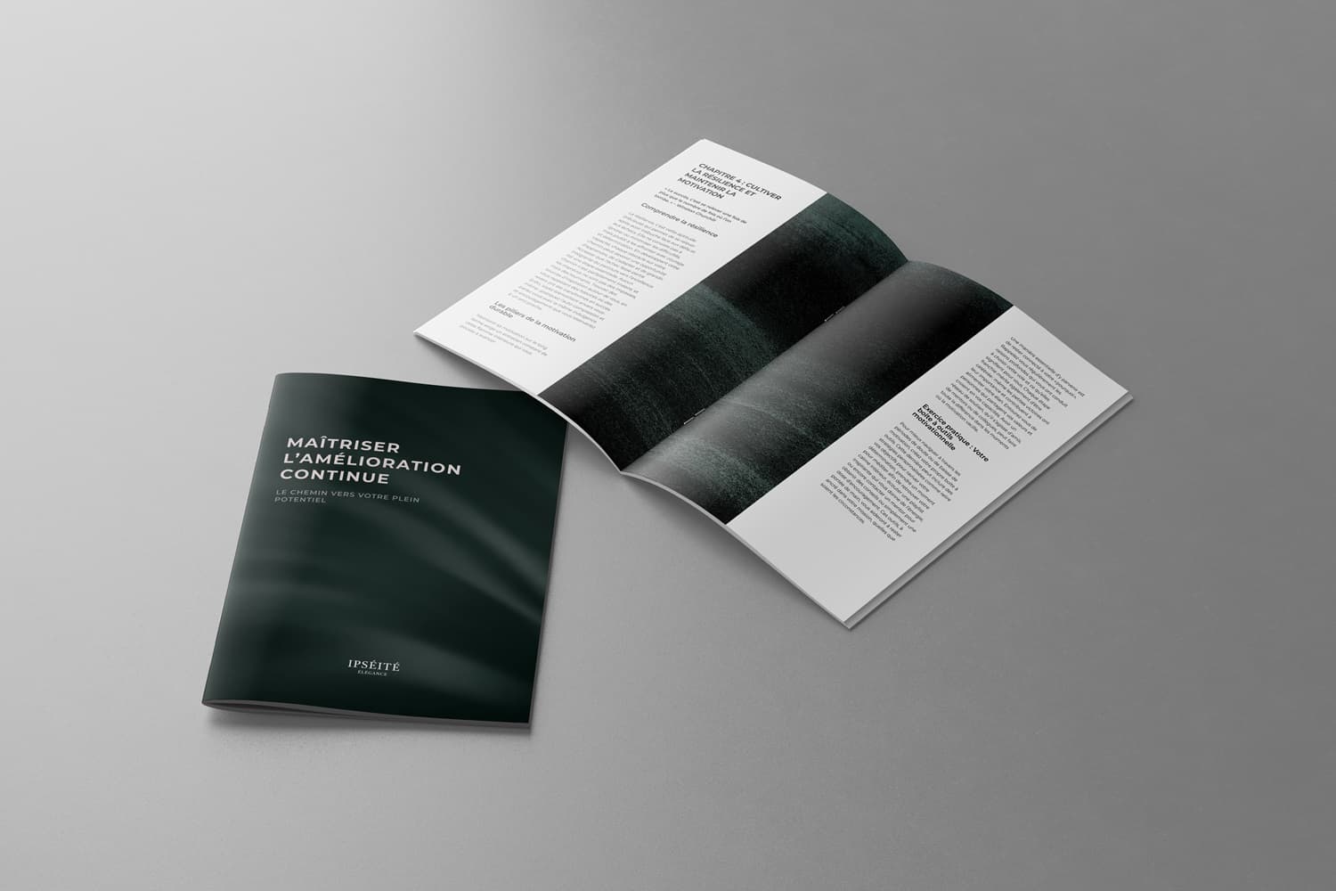 Ebook IPSÉITÉ, Maîtriser l'amélioration continue